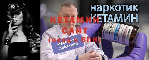 шишки Няндома