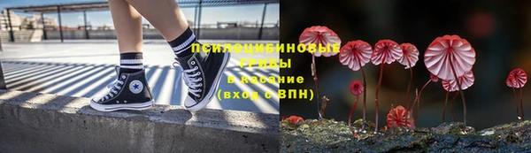 шишки Няндома