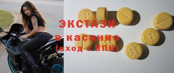 шишки Няндома