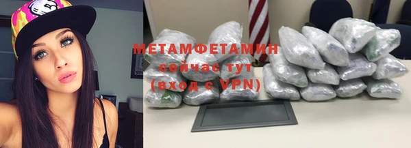 шишки Няндома