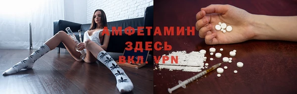 сатива Нягань