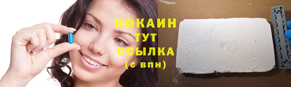 шишки Няндома