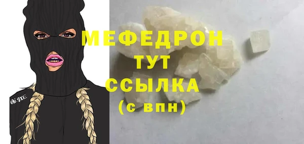 шишки Няндома