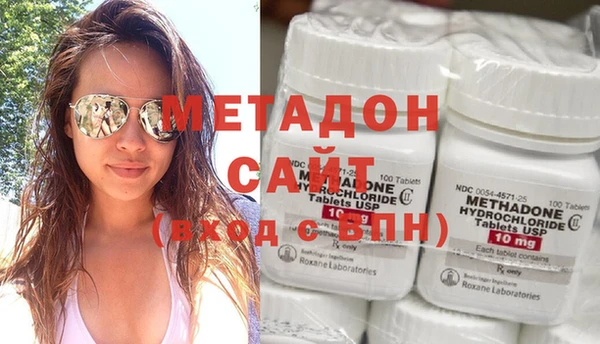 шишки Няндома