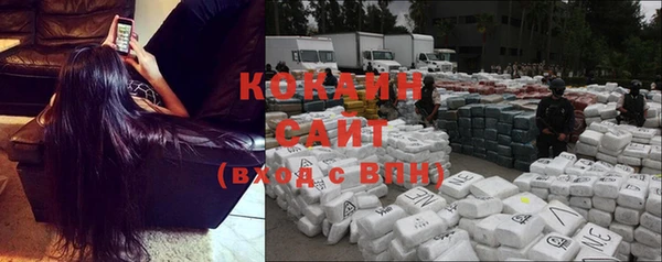 сатива Нягань