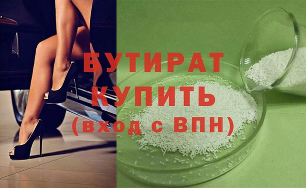 шишки Няндома