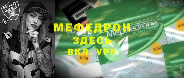 шишки Няндома